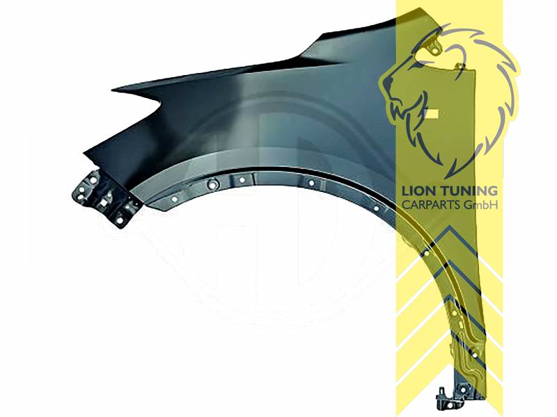 wird mit Schutzlackierung ausgeliefert - Farbe kann vom Bild abweichen, nur für rechts (Beifahrerseite), Metall / Stahl, Eintragungsfrei / als Ersatzteil verwendbar