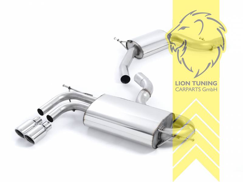 70 mm (2,75 Zoll), 2 x 80mm, Endrohr doppel, 80mm, Edelstahl poliert, Edelstahl, Eintragungsfrei / mit ABE