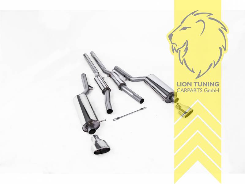 70 mm (2,75 Zoll), 150 x 95 mm, Endrohr duplex, 150x95mm, Edelstahl poliert, Edelstahl, Eintragungsfrei / mit ABE