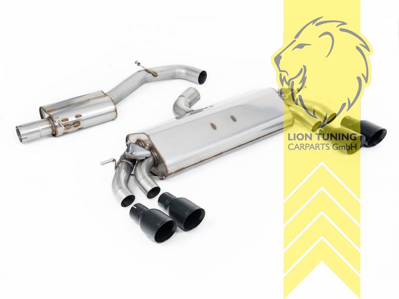 76 mm (3 Zoll), 2 x 100 mm, Endrohr duplex, 100 mm, Edelstahl schwarz lackiert (Cerakote), nur passend für Fahrzeuge mit OPF, Edelstahl, Eintragungsfrei / mit ABE