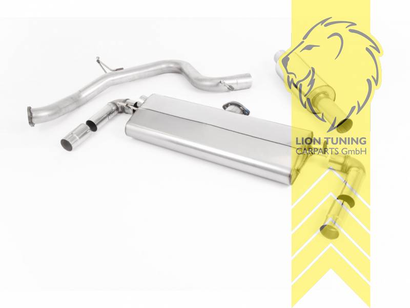 76 mm (3 Zoll), 1 x 100mm, Endrohr duplex, 100 mm, Carbon, Edelstahl poliert, nur passend für Fahrzeuge mit OPF, Edelstahl, Eintragungsfrei / mit ABE