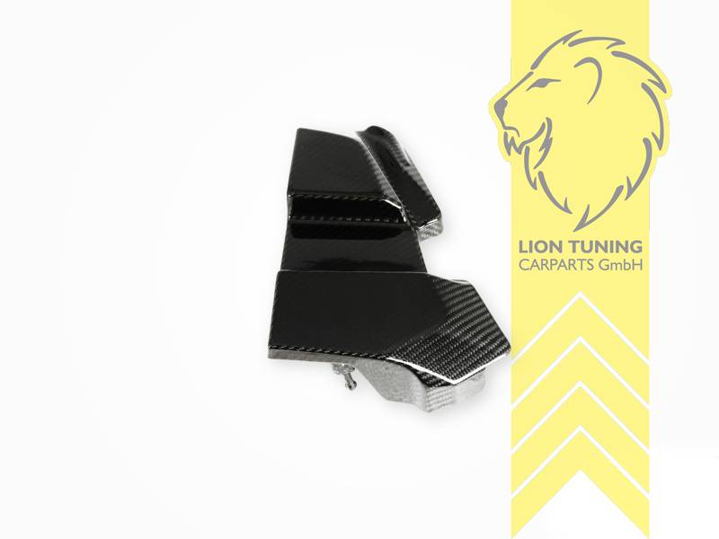 Carbon, Eintragung per Einzelabnahme nötig!