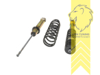 fest, Schwarz, Bei Fahrzeugen mit EDC bzw. 8Zyl. Motorisierung sind zusätzliche Anbauteile des Kfz Herstellers notwendig: für die VA: BMW Teile-Nr.: Domlager 31331091709 Scheibe 31331116983 Manschette 31331110196, für die HA: BMW Teile-Nr. Stützlager 33521091710 Stütztopf 33521090282 Scheibe 33521092986 Schutzrohr 31331137932 Elastomere 33531091031., Nicht für Fahrzeuge mit Niveauregulierung, bzw. nur wenn die Niveauregulierung entsprechend eingestellt werden kann., Stahl verzinkt, Eintragungspflichtig / Teilegutachten liegt bei
