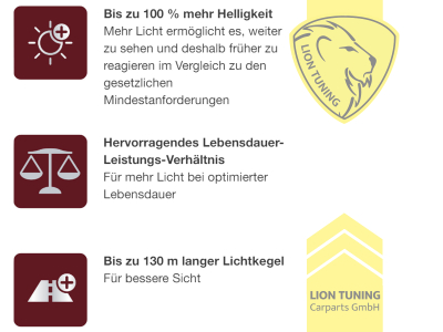 Halogen, 3500K, H4, 60W, Scheinwerfer, 12 V, Eintragungsfrei / mit R87 Zulassung als Tagfahrlicht