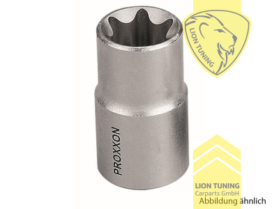 für 1/2 Zoll Vierkantantrieb (12,5 mm), E 10, Chrom-Vanadium-Stahl