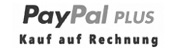 Rechnungskauf über Paypal